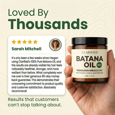 Clarified Batana Oil